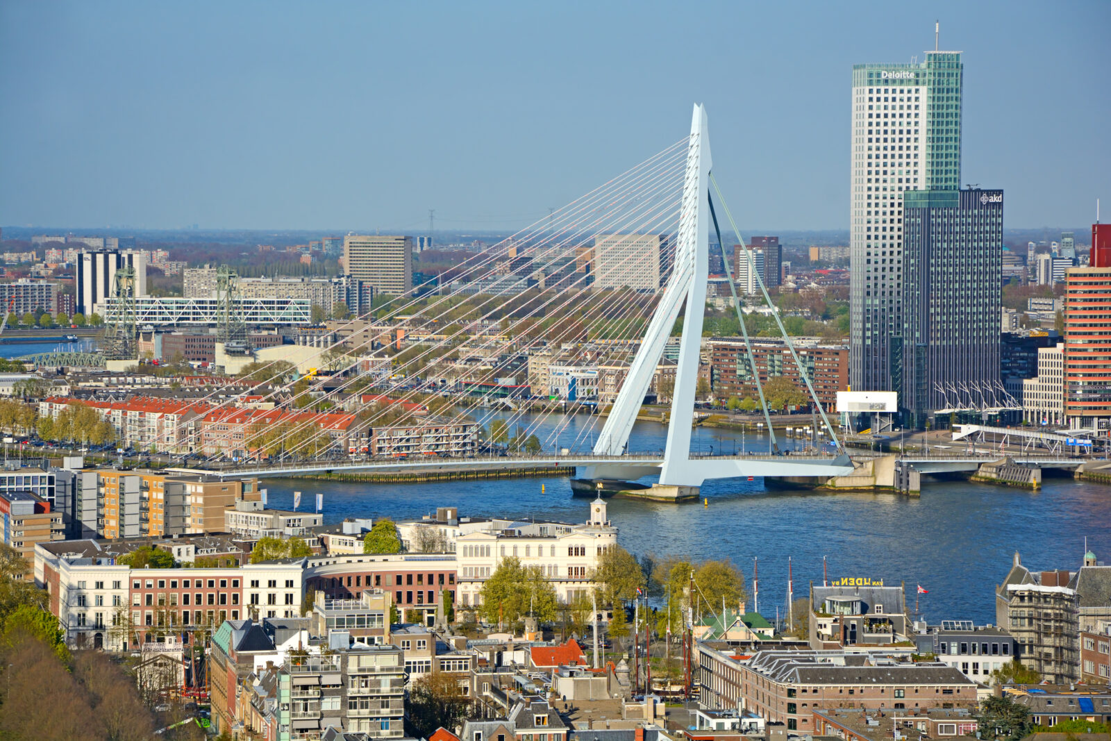 Skyline van Rotterdam met de Erasmusbrug en woningen op Zuid, voorbeeld van stedelijke gebieden waar erfpacht veel voorkomt