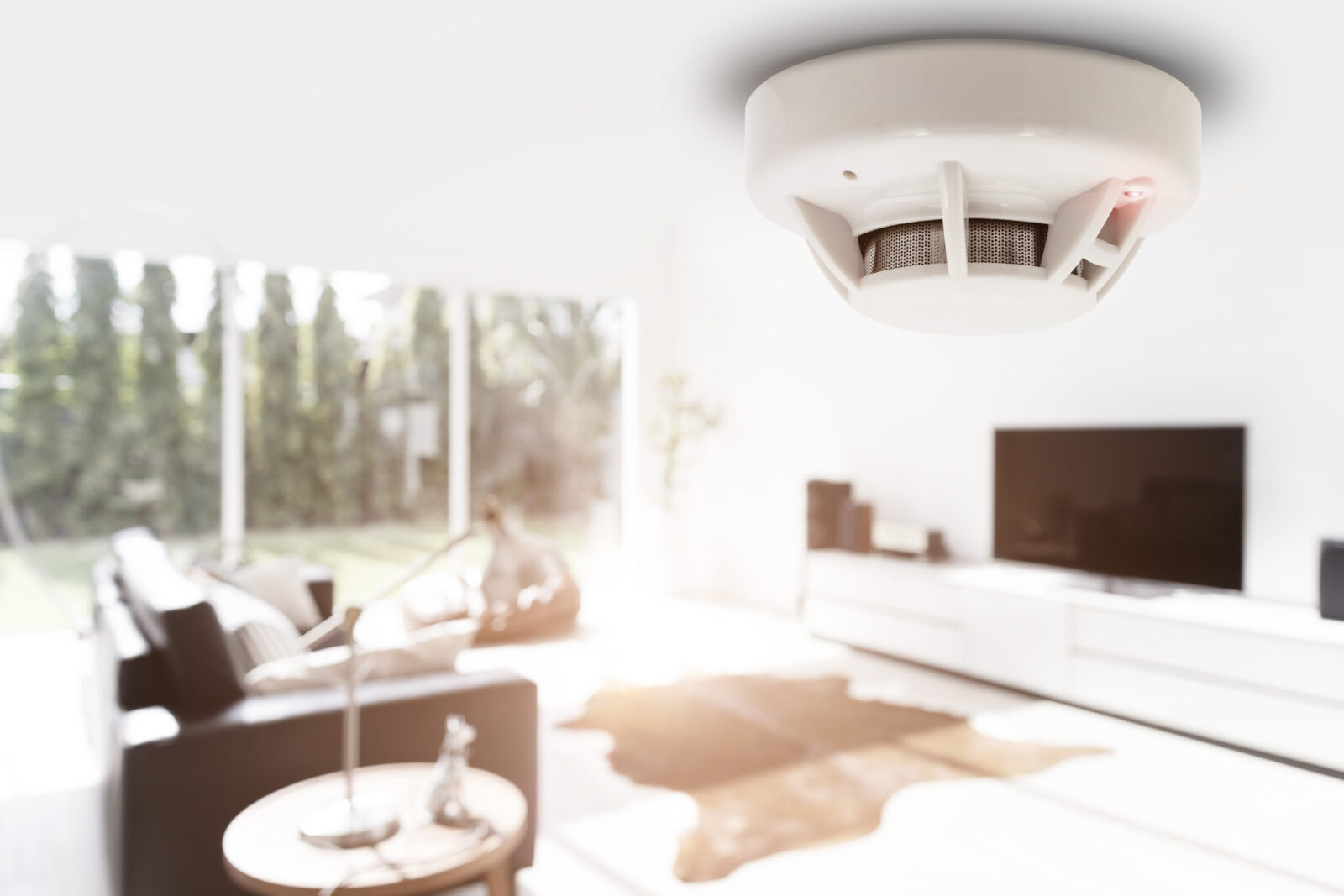Rookmelder aan het plafond in een moderne woonkamer voor brandveilig wonen