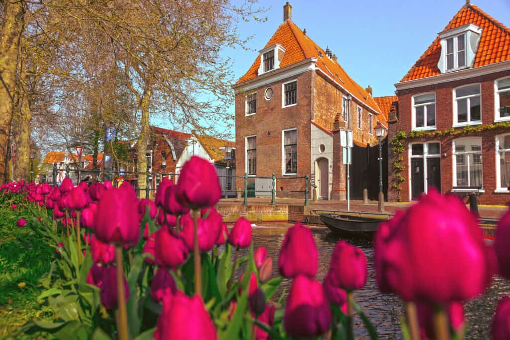 Karakteristiek monumentaal pand in een Nederlands dorp met tulpen op de voorgrond