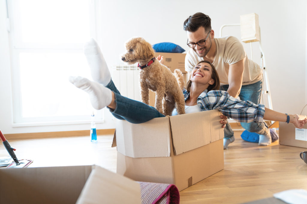 Een lachend stel verhuist naar een nieuw huis en geniet van het moment; de vrouw zit in een kartonnen doos met een vrolijke hond op schoot, terwijl de man de doos voortduwt. De scène straalt plezier en huiselijkheid uit tijdens het verhuisproces.