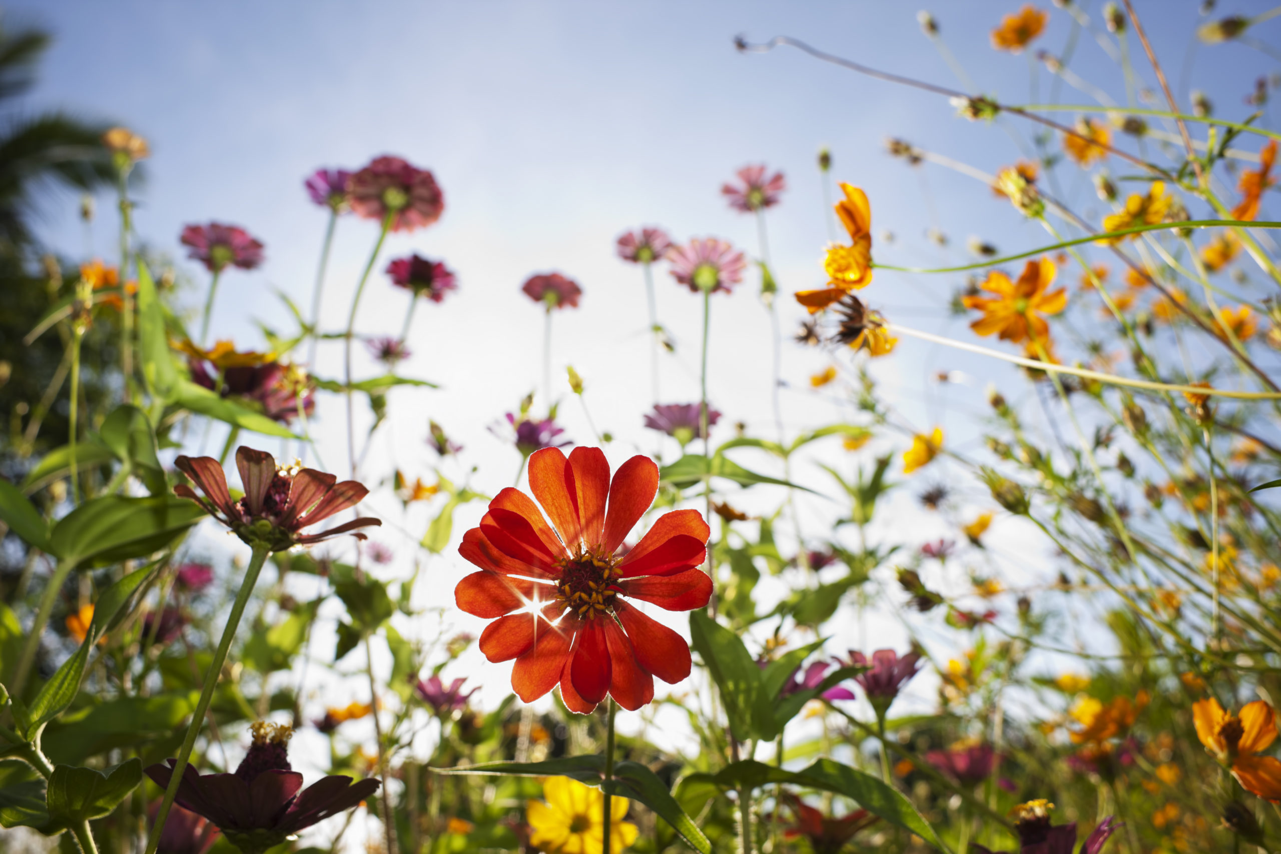 tuin lenteklaar maken