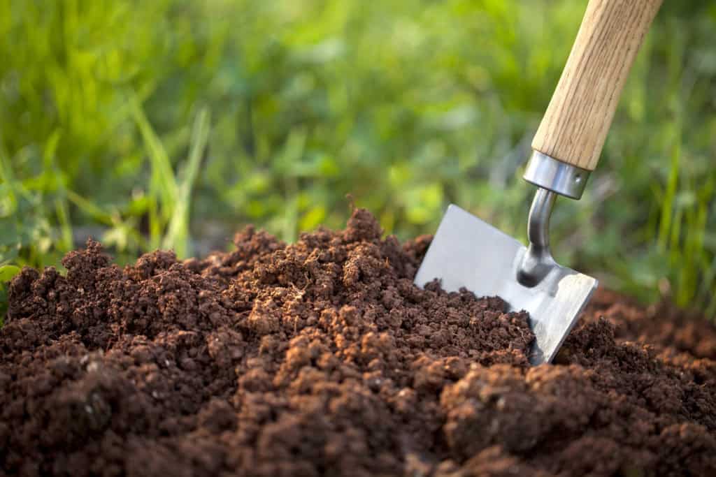 verschil tussen tuinaarde en potgrond