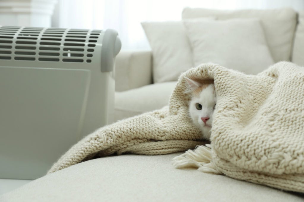 Radiator ventilator
