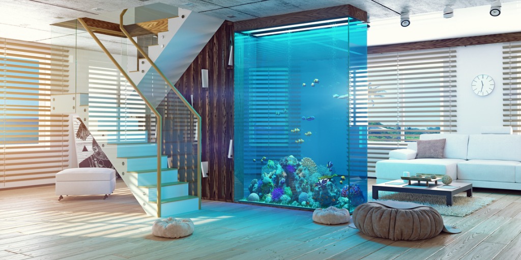 Aquarium verlichting in je woonkamer