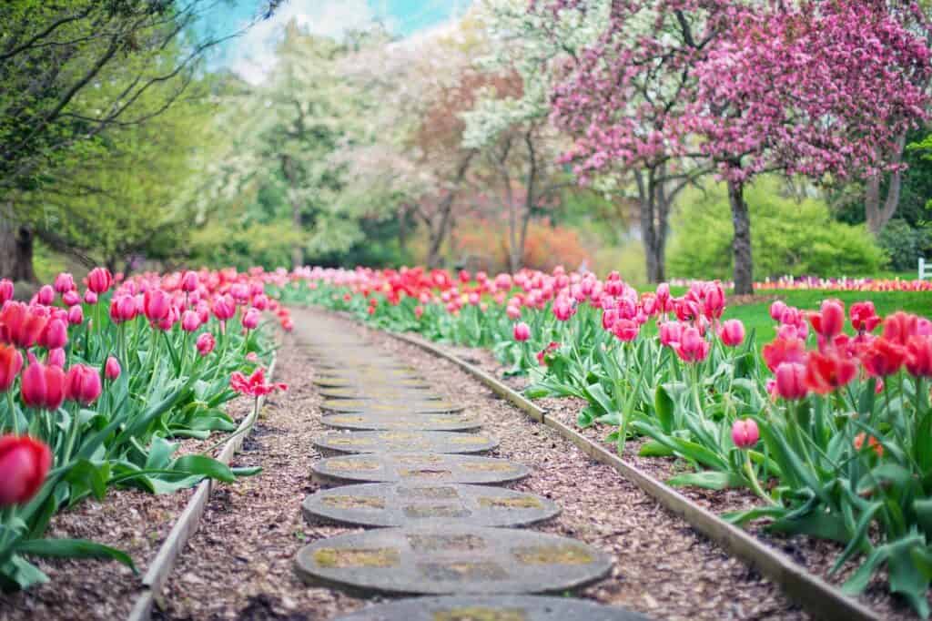 sfeervolle tuin