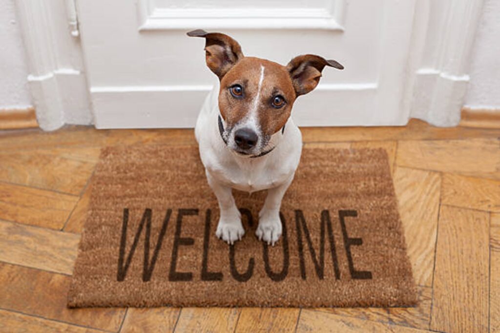 Deurmat met Welcome en een zittend hondje