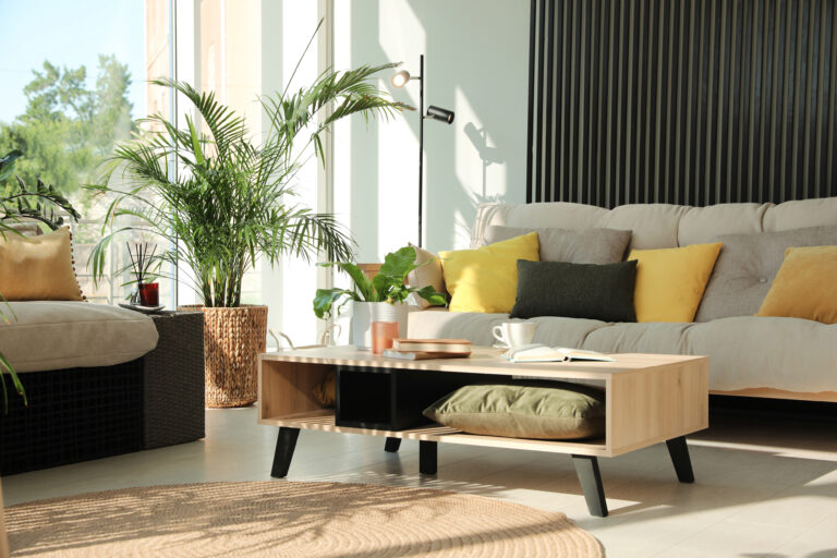 Kamerplant in moderne woonkamer met veel daglicht en natuurlijke interieurstijl