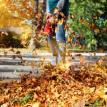 Een persoon gebruikt een bladblazer om herfstbladeren op te ruimen in een verzorgde tuin.