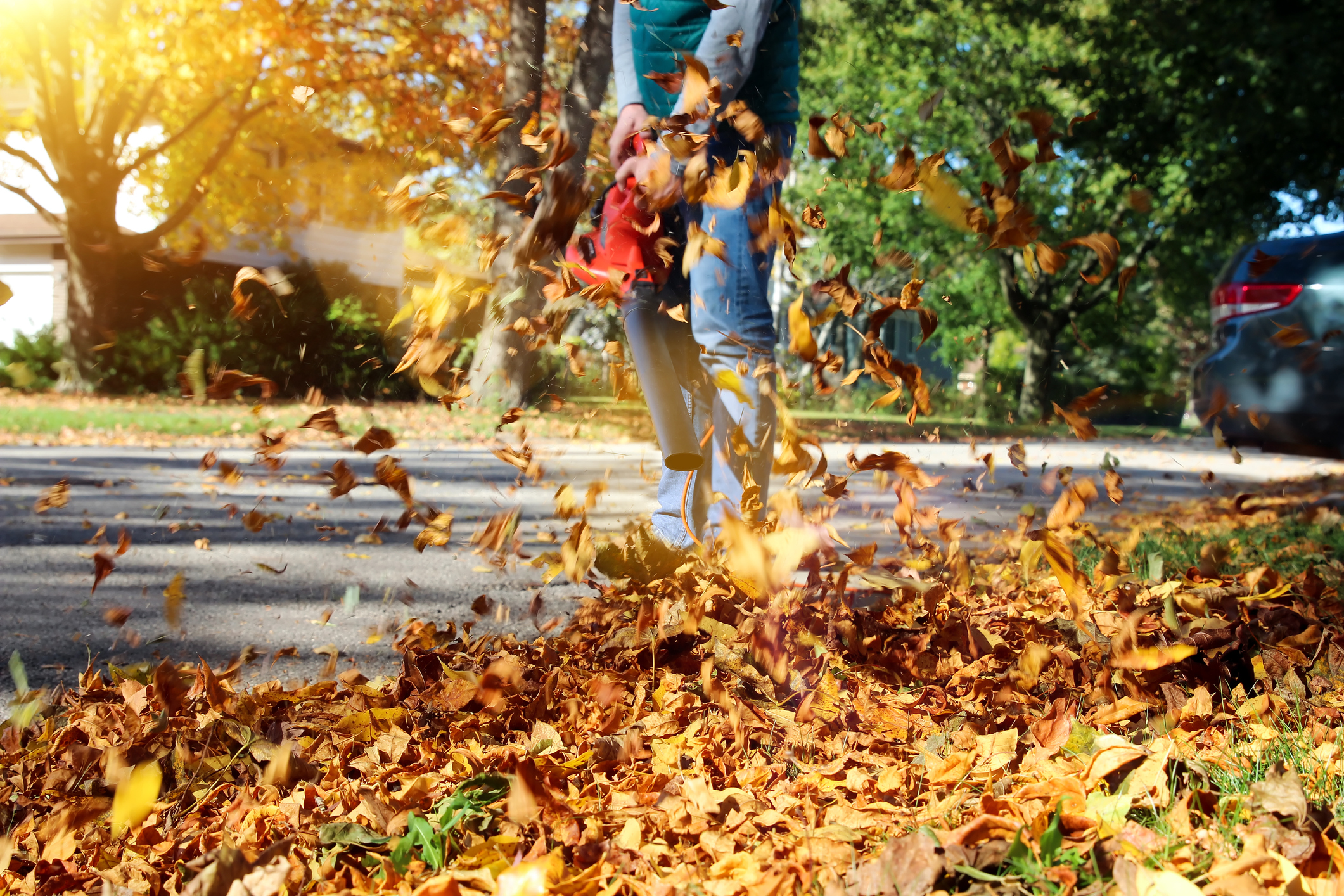 Een persoon gebruikt een bladblazer om herfstbladeren op te ruimen in een verzorgde tuin.