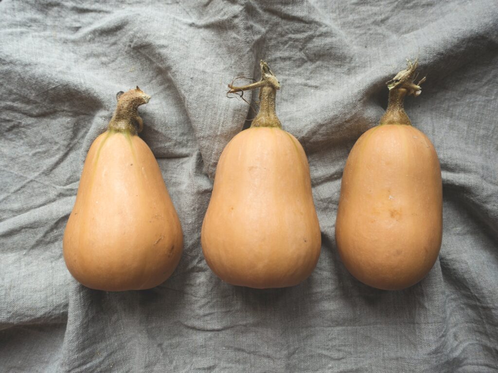 Verse pompoenen uit de moestuin, klaar voor de oogst.