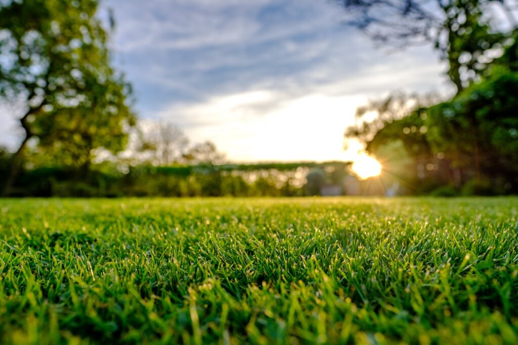 Groen gazon in de zon, een strak en onderhoudsvriendelijk alternatief met kunstgras.