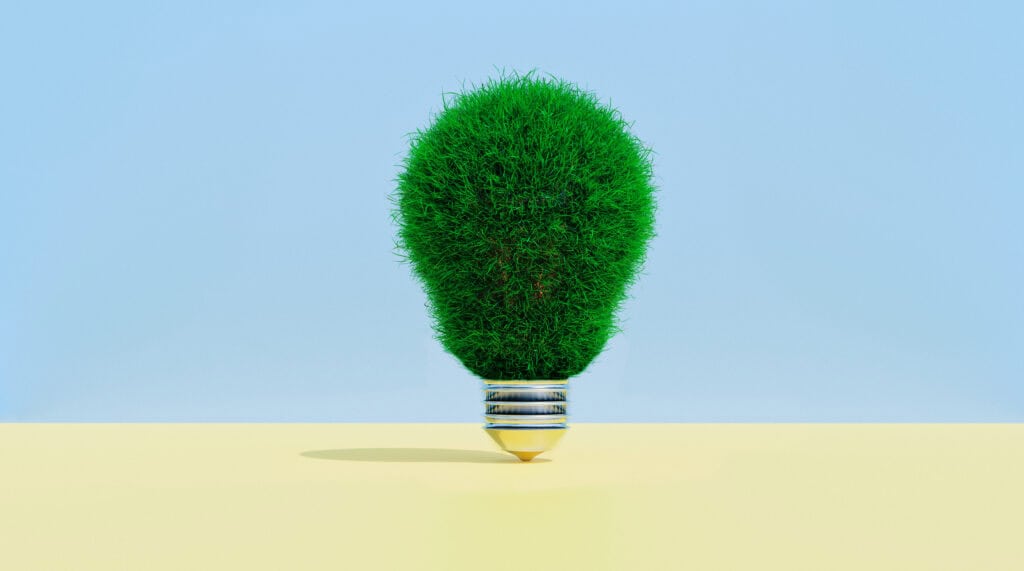 Gloeilamp van gras als symbool voor duurzame energie en milieuvriendelijke verwarming
