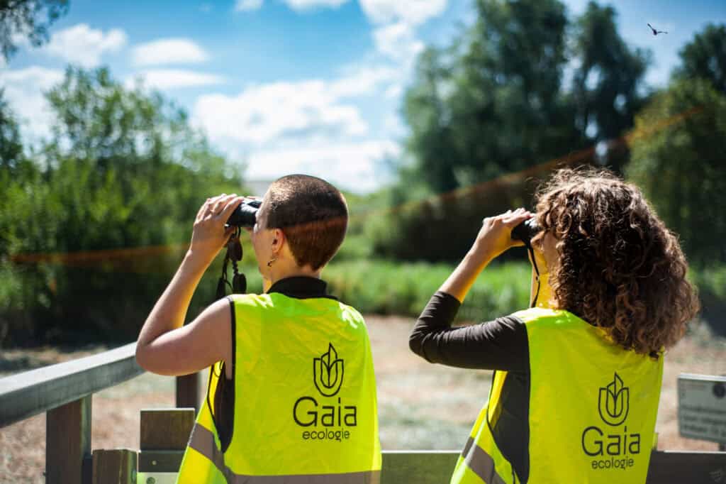 Twee ecologen in fluorescerende hesjes observeren een natuurgebied met verrekijkers tijdens veldonderzoek