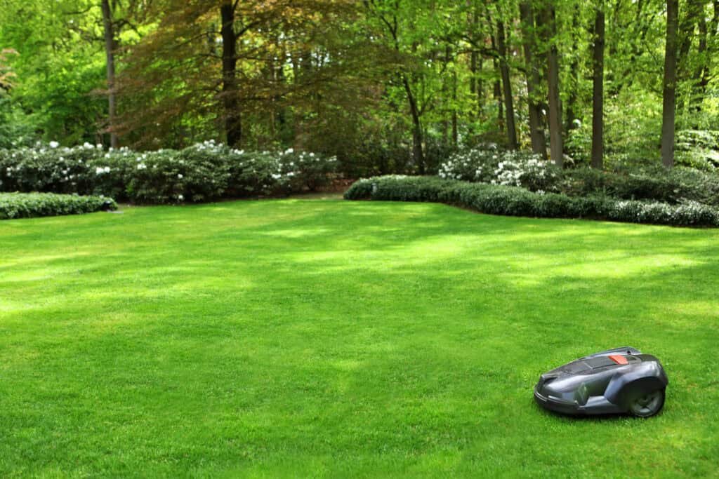 Robotmaaier rijdt over strak gemaaid gazon in groene tuin