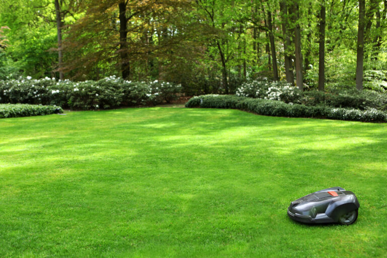 Robotmaaier rijdt over strak gemaaid gazon in groene tuin