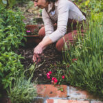 Vrouw die mulch aanbrengt tussen groene planten en bloemen in een verzorgde tuin