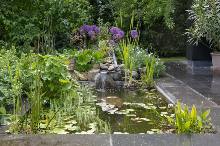 Moderne zwemvijver met houten vlonder en ligstoelen in een groene tuin
