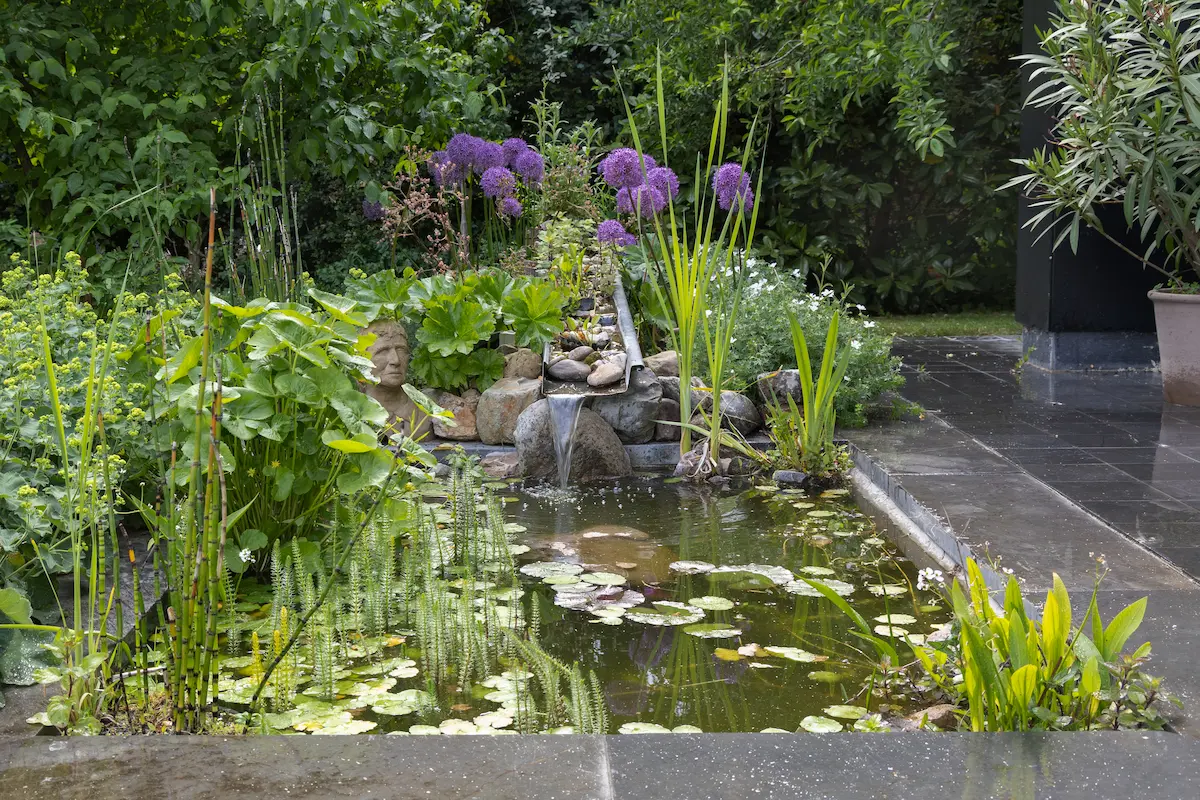 Moderne zwemvijver met houten vlonder en ligstoelen in een groene tuin