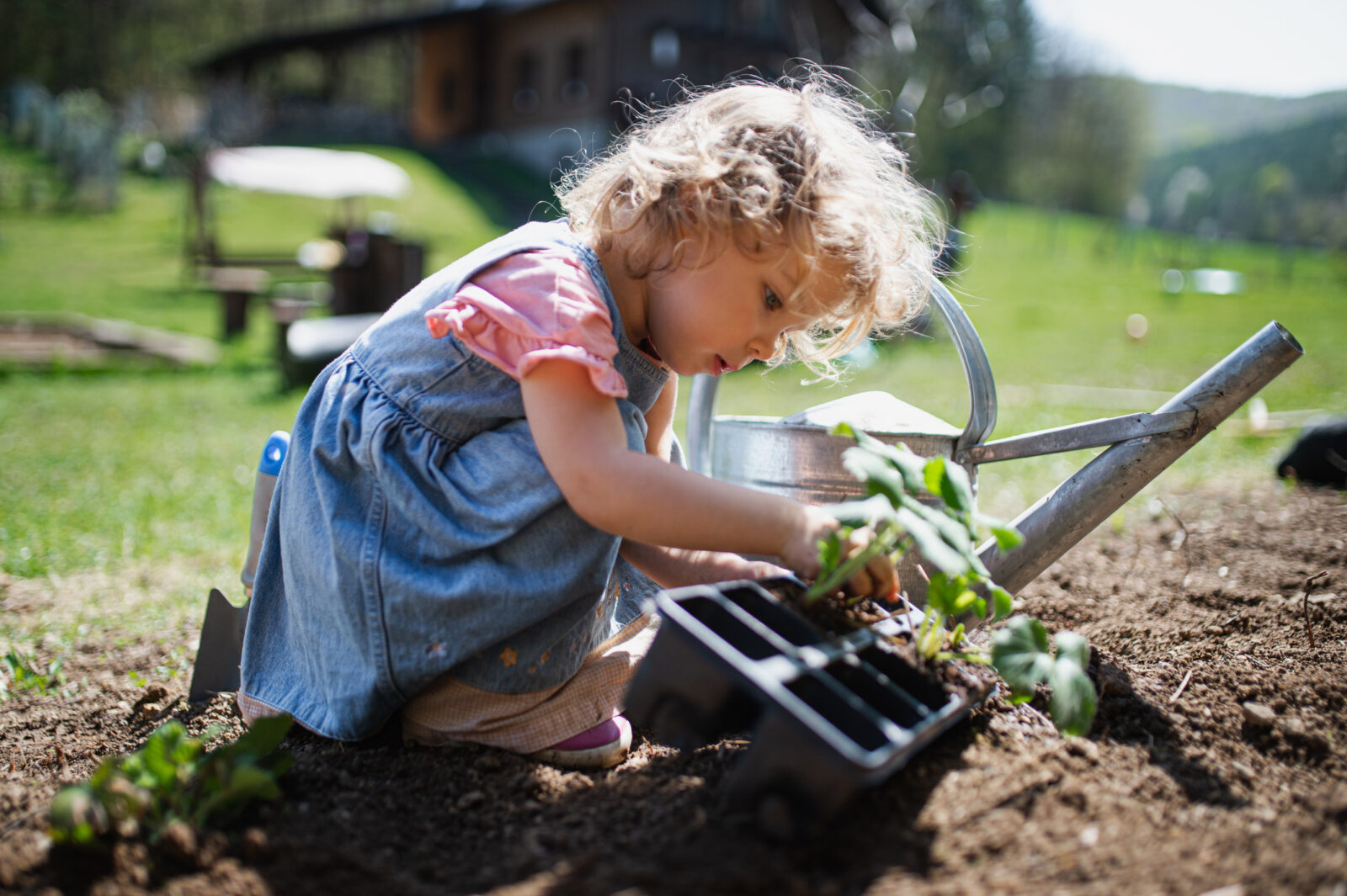 Kind plant biologische zaailingen in de tuin met een gieter naast zichachtergrond