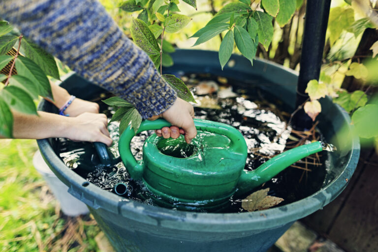 Hand vult gieter met regenwater uit een groene regenton in een zomerse tuin