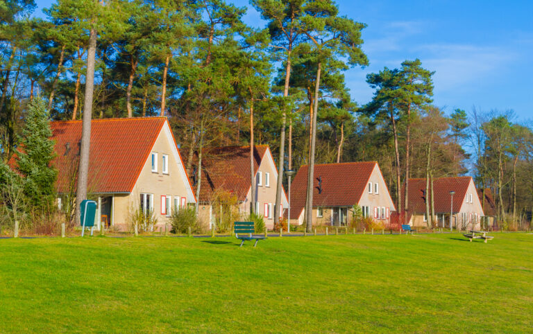Vakantiehuizen in het bosrijke landschap van België met zonlicht op het gras en een ontspannen sfeer