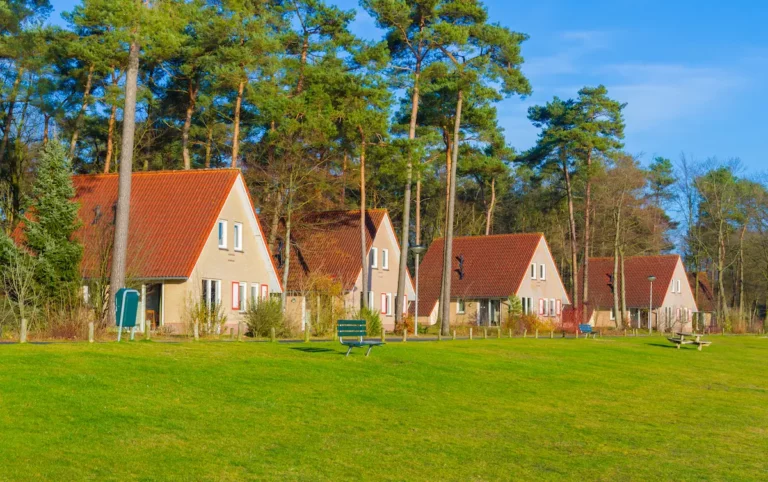 Vakantiehuizen in het bosrijke landschap van België met zonlicht op het gras en een ontspannen sfeer