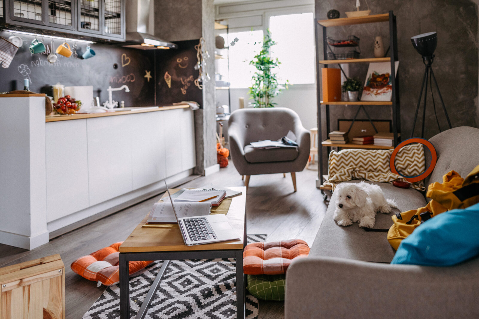 Bewoonde studio met zithoek, werkplek en open keuken in één ruimte