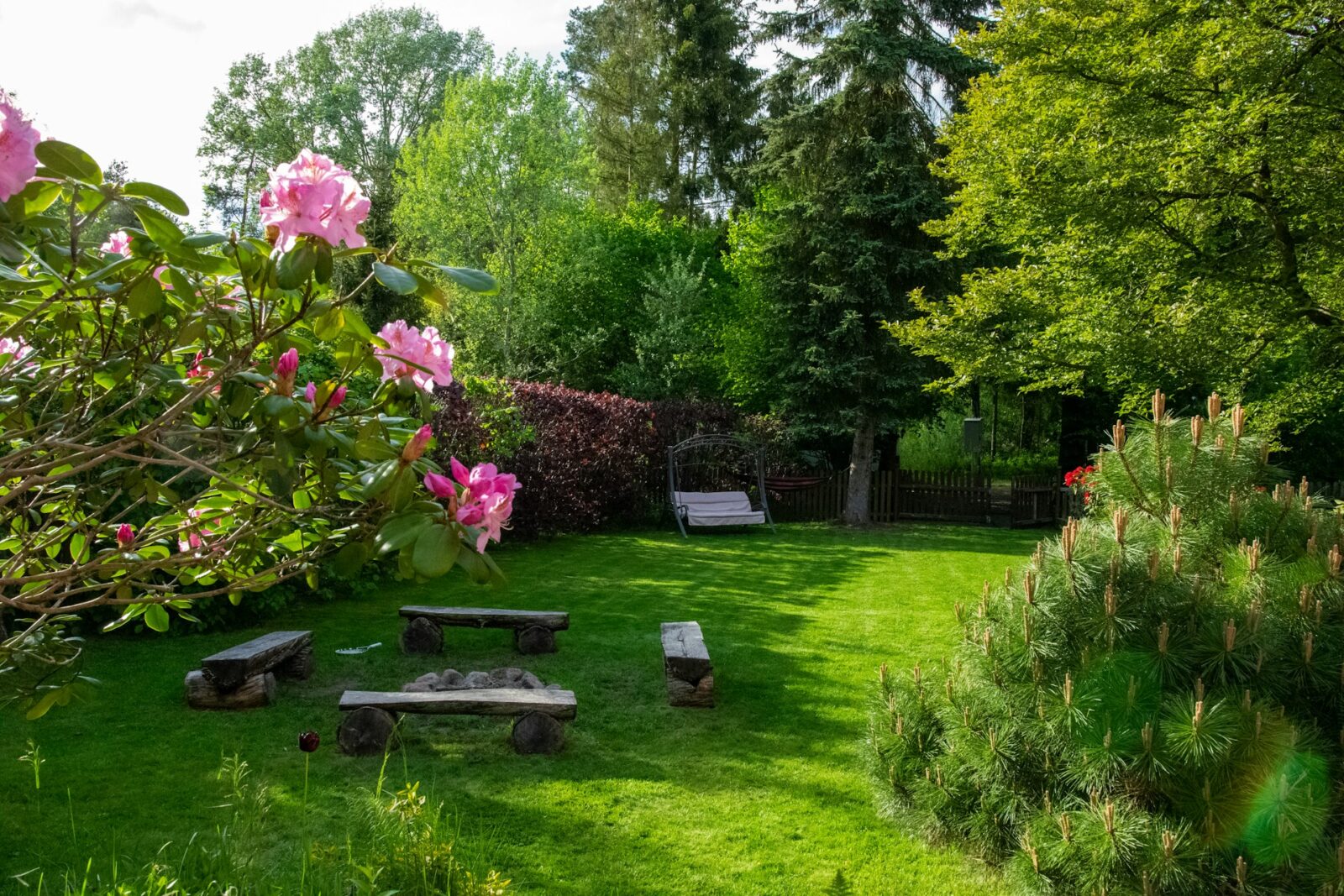 Beschutte achtertuin met groene beplanting en bloeiende struik in de zon