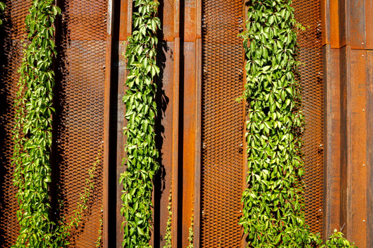Groene klimplanten tegen roestbruine cortenstalen panelen met rasterwerk