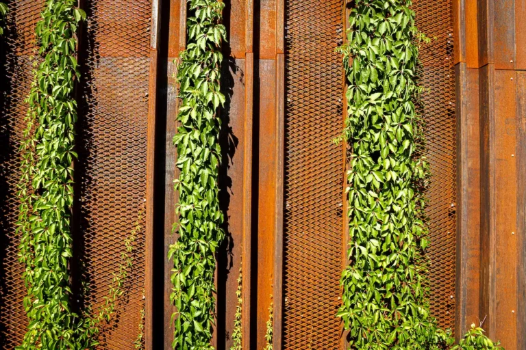 Groene klimplanten tegen roestbruine cortenstalen panelen met rasterwerk
