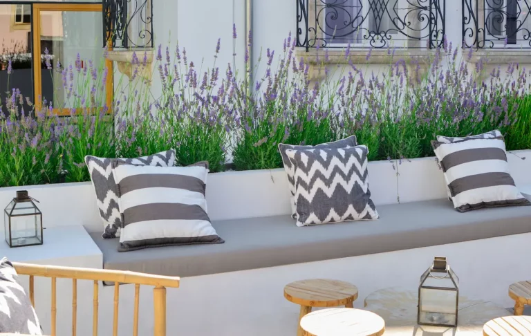 Zithoek in de tuin met lage bank tegen een witte gevel en siergrassen die de wind breken