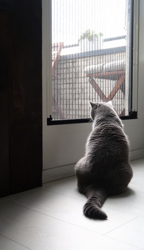 Kat voor een geplaatste Grandeur plissé hordeur SE-100